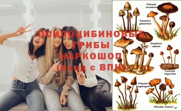ECSTASY Абдулино