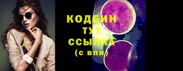 PSILOCYBIN Няндома