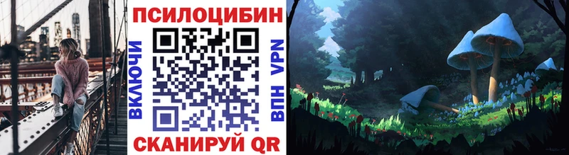 где купить   Инта  Галлюциногенные грибы Cubensis 